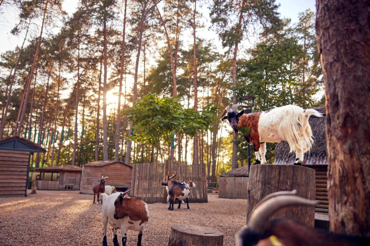 Center Parcs Les Hauts De Bruyeres Chaumont-sur-Tharonne Exteriör bild
